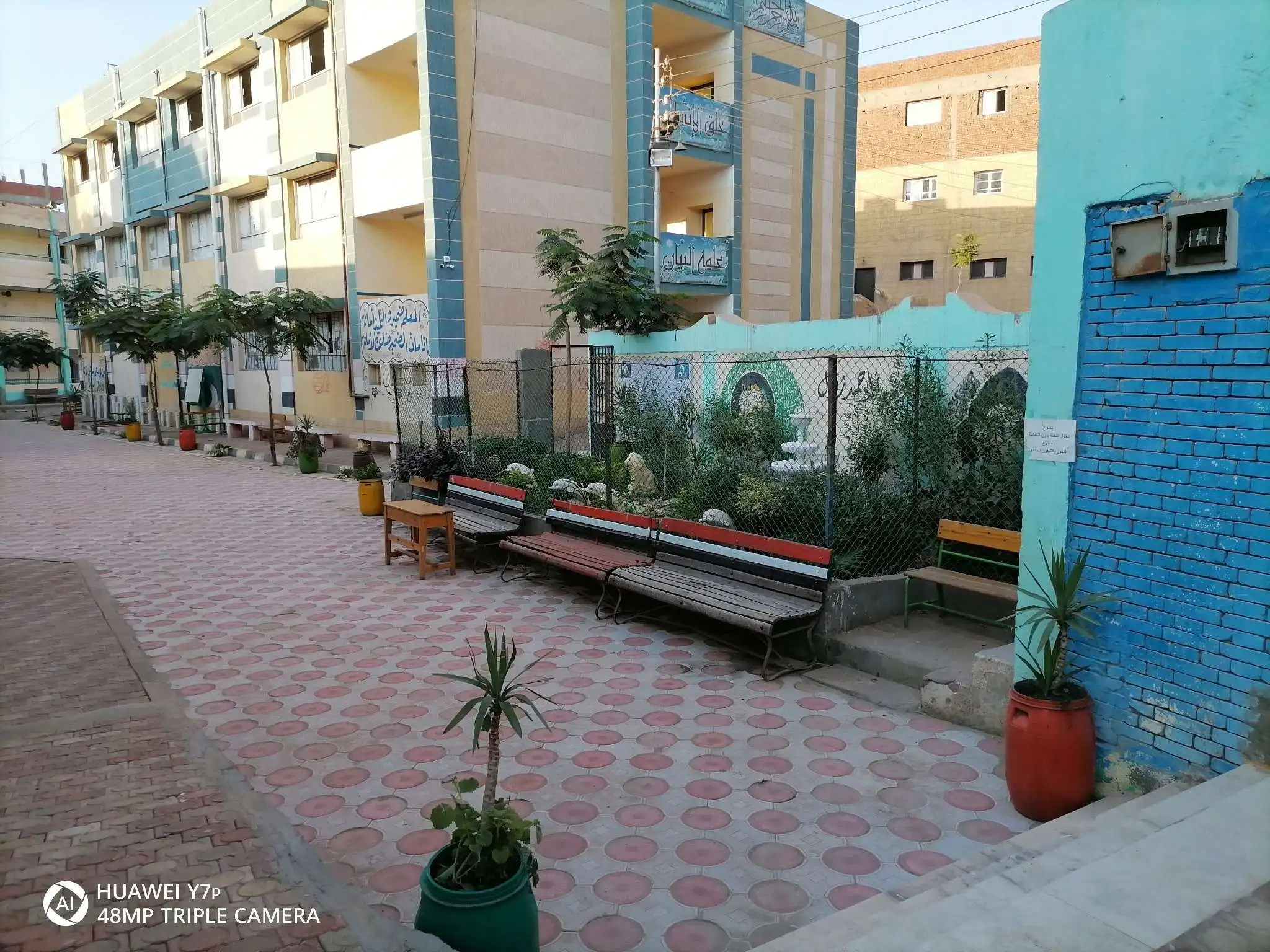 نشاط 2